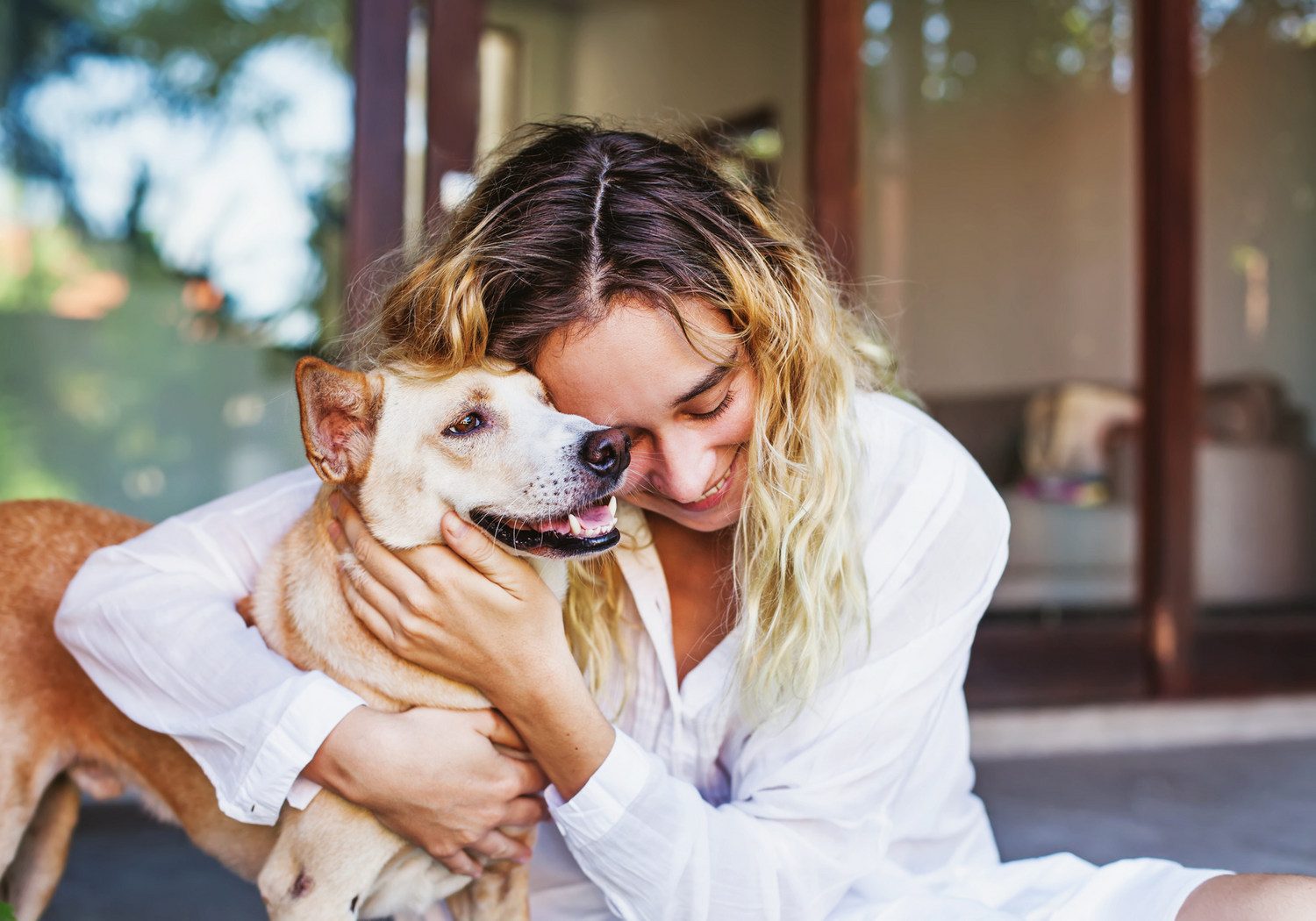 Resa Med Husdjur: Tips för Enklare Utflykter