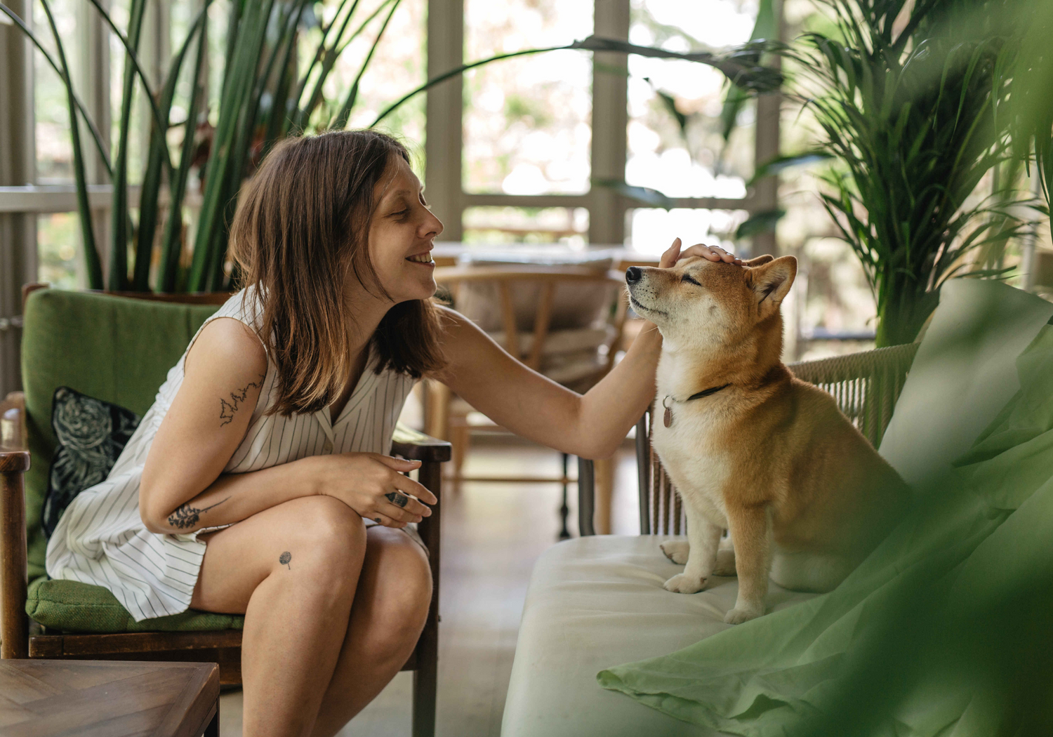 Varför Interaktiva Leksaker Är Viktiga för Husdjur
