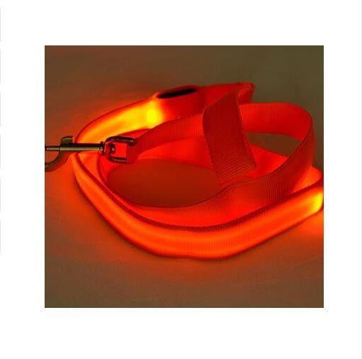LED Leash