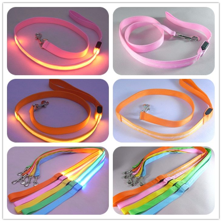 LED Leash