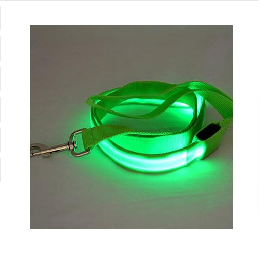 LED Leash