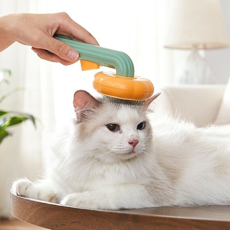 PetBrush