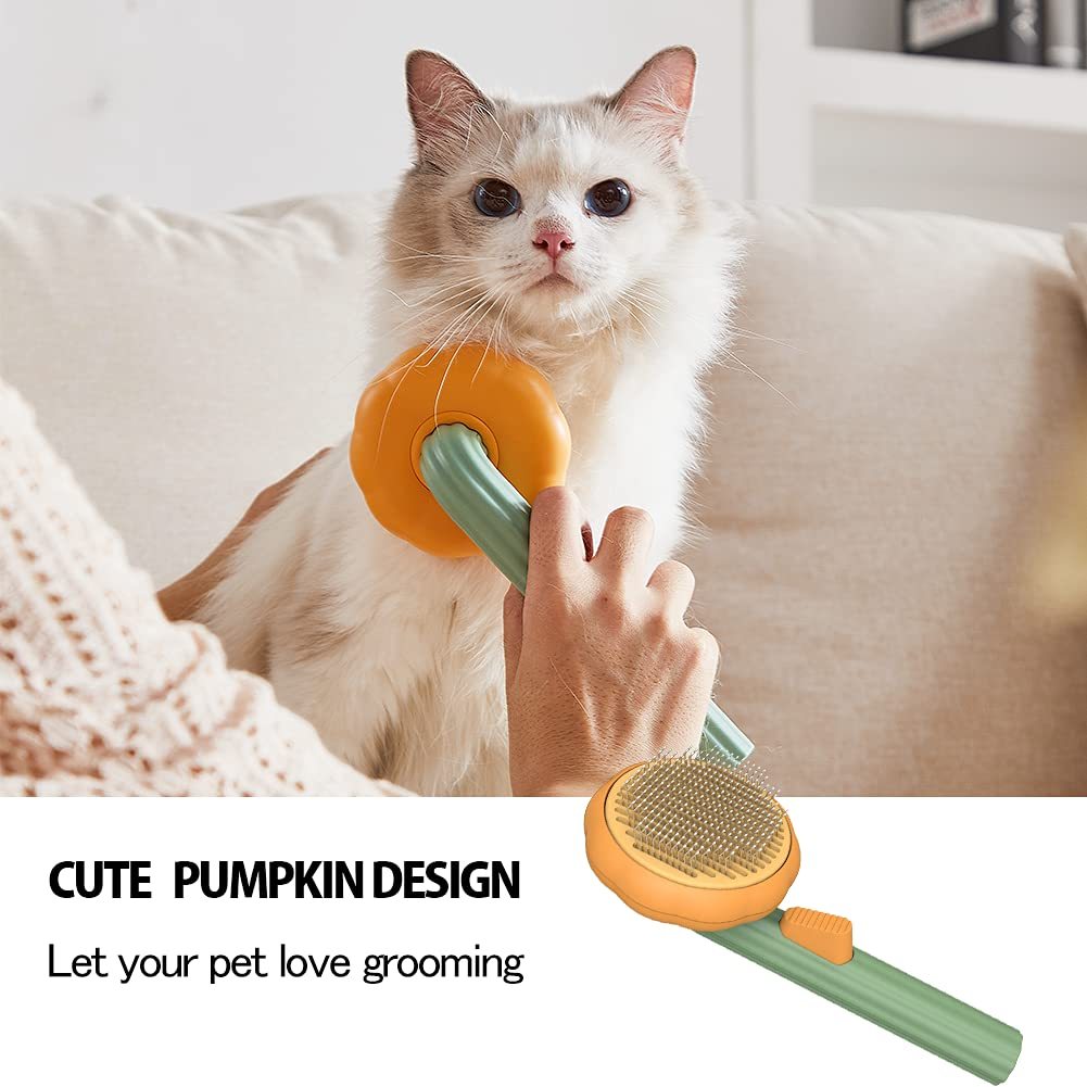 PetBrush