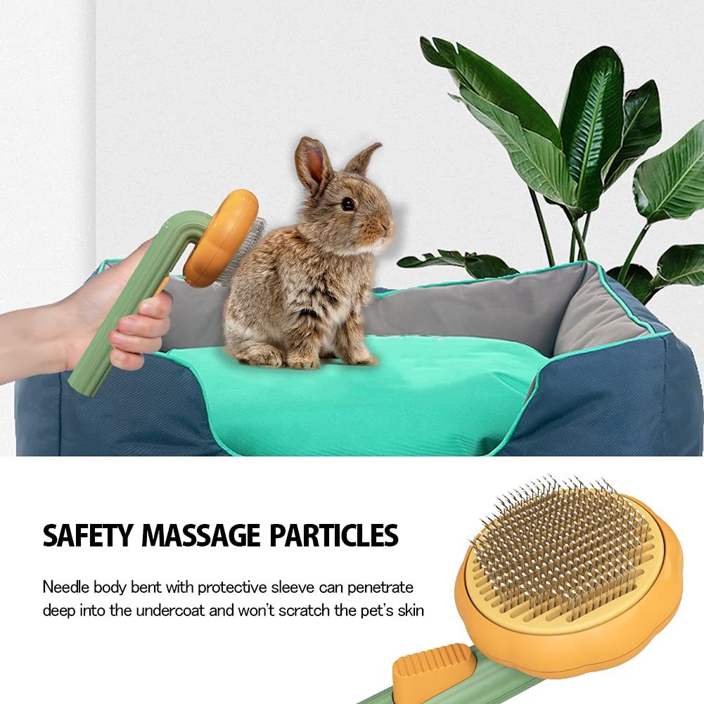 PetBrush