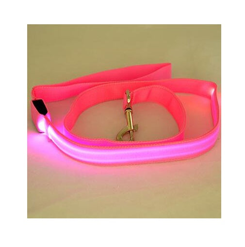 LED Leash
