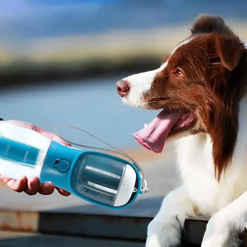 3-in-1 DogCup