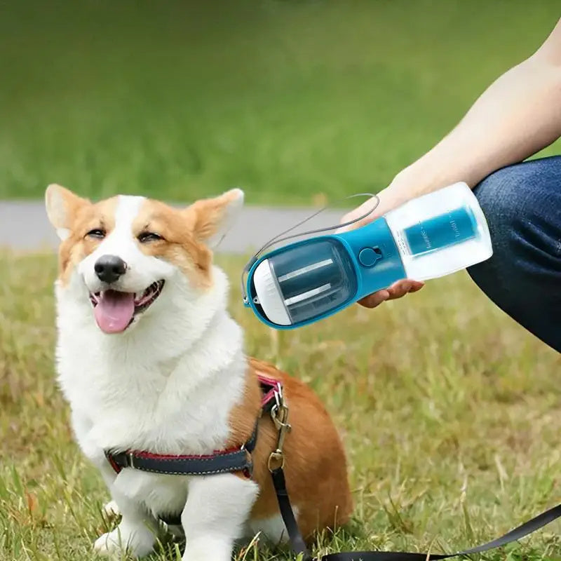 3-in-1 DogCup