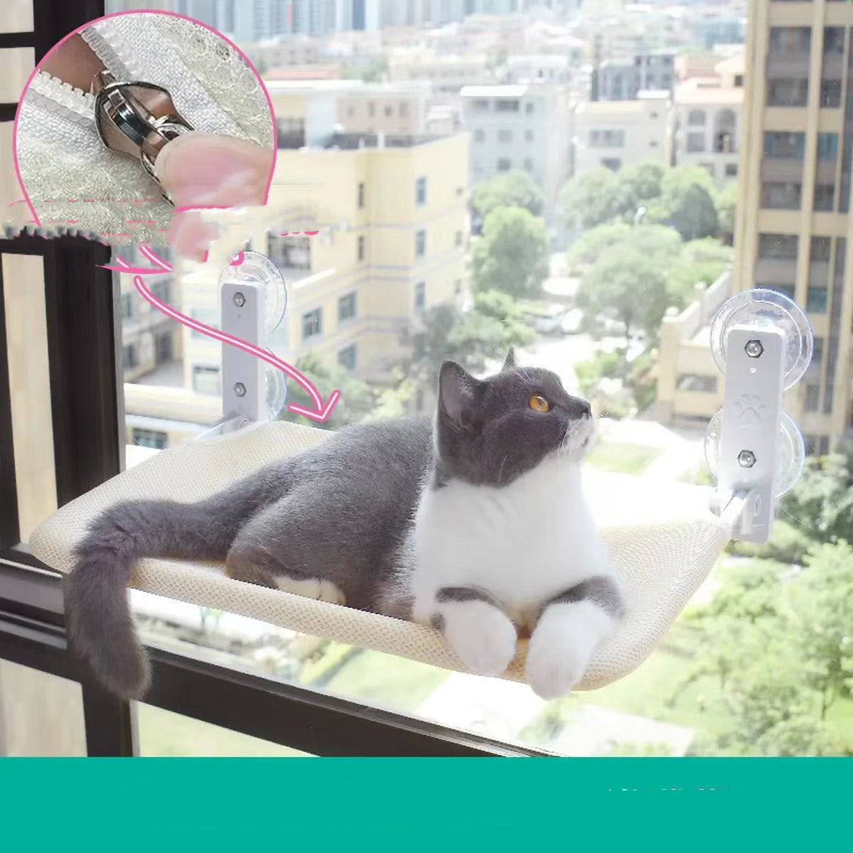 PurrView