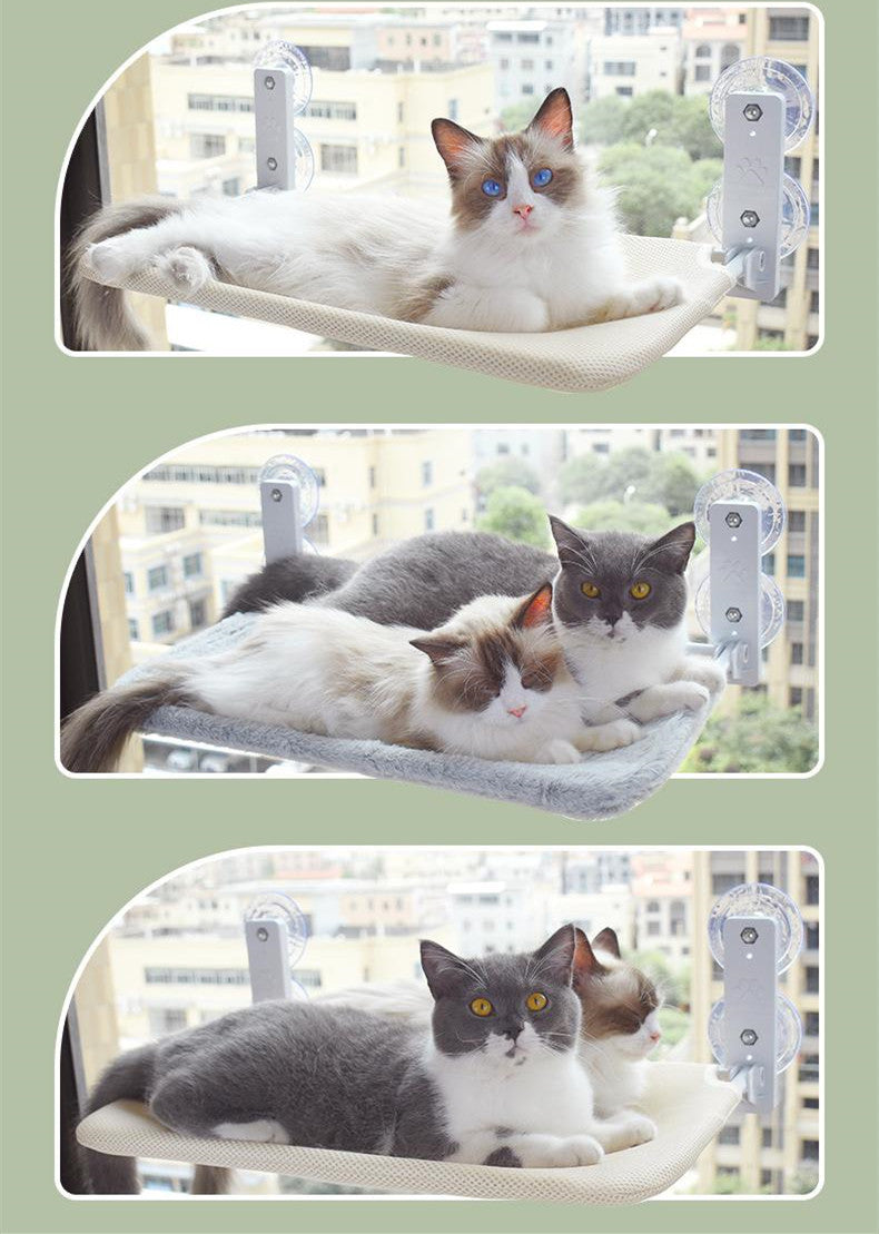 PurrView