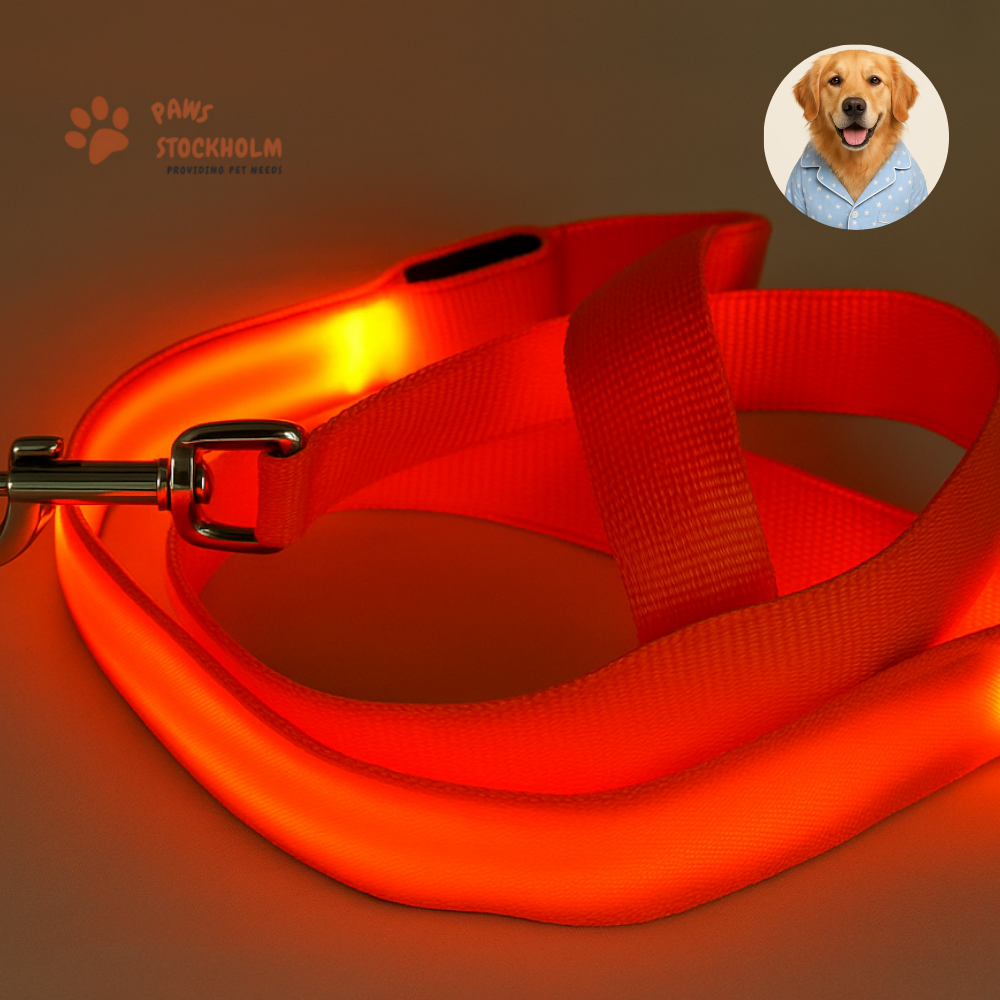 LED Leash