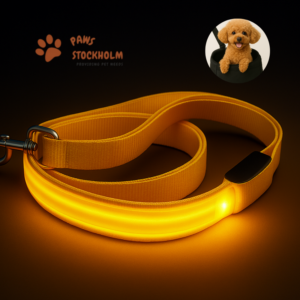 LED Leash