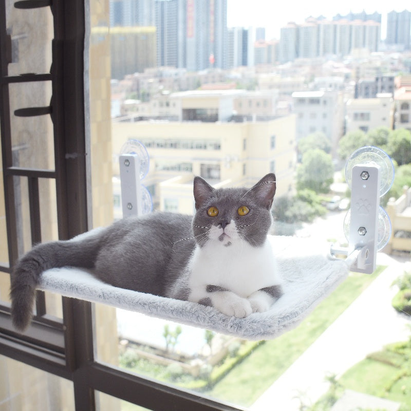 PurrView