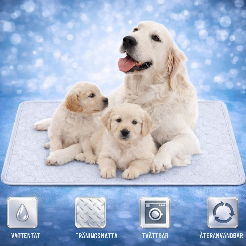 PawGuard™ Urinmatta