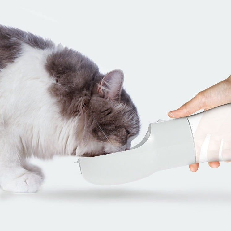 Portable Dispenser
