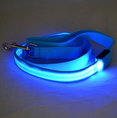 LED Leash