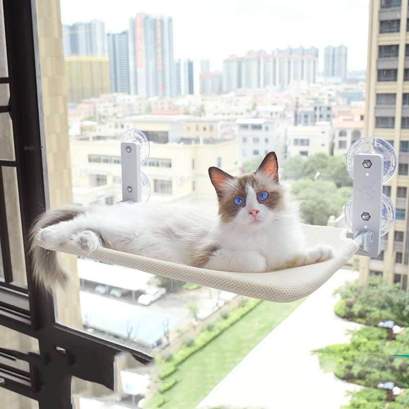 PurrView