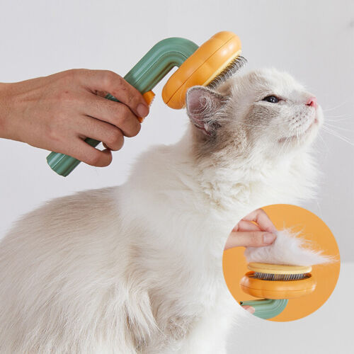 PetBrush