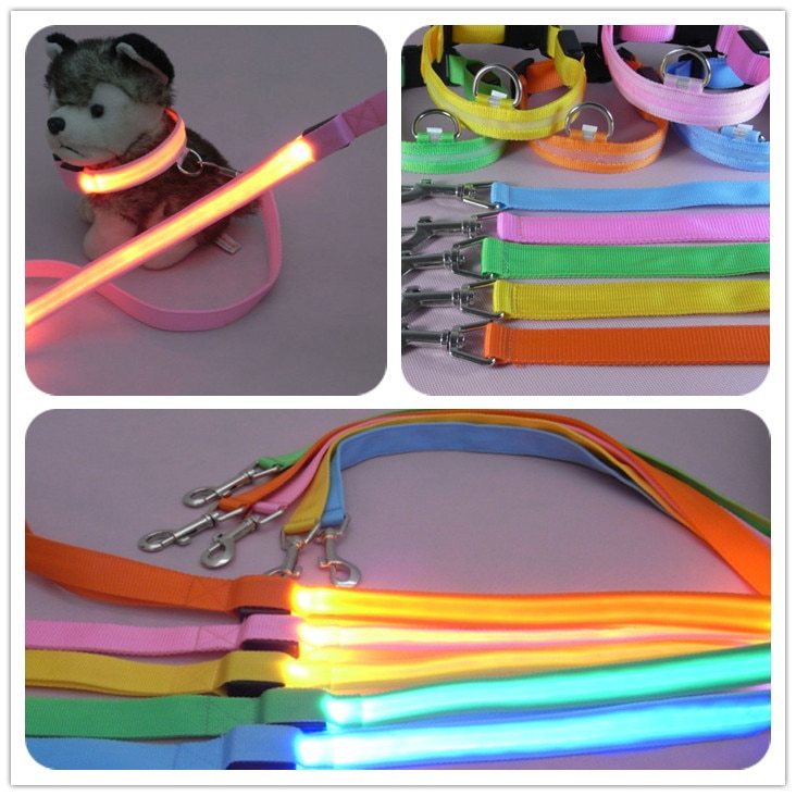 LED Leash