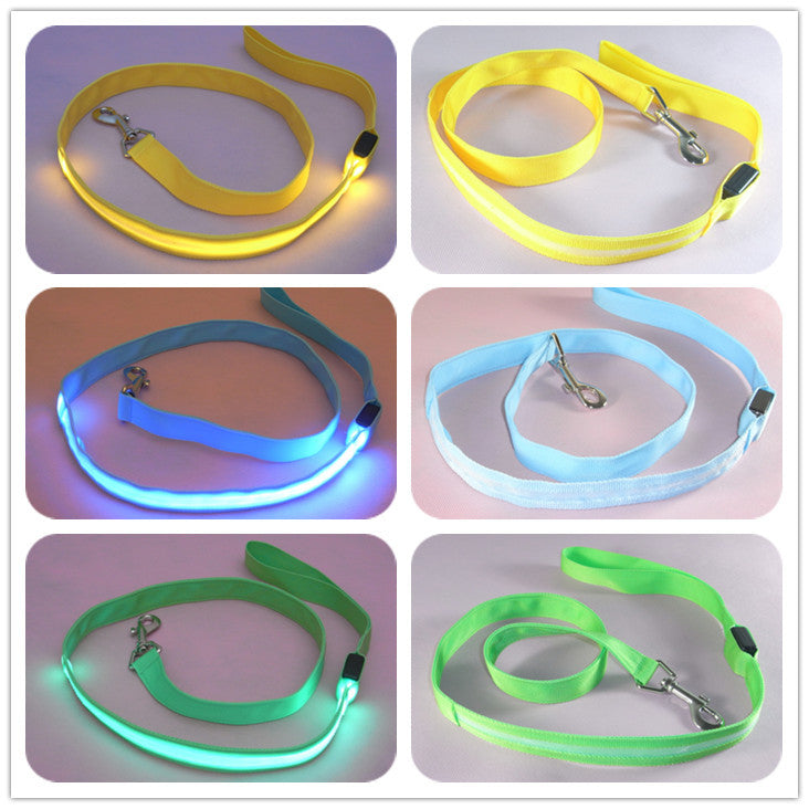 LED Leash