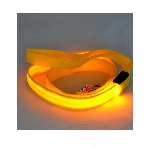 LED Leash