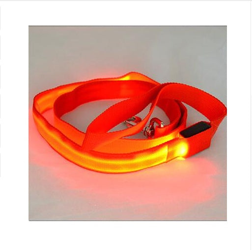 LED Leash