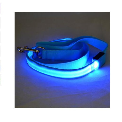 LED Leash
