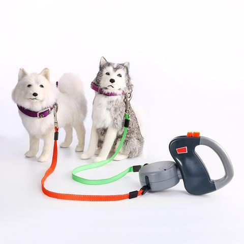PawPartner Duo