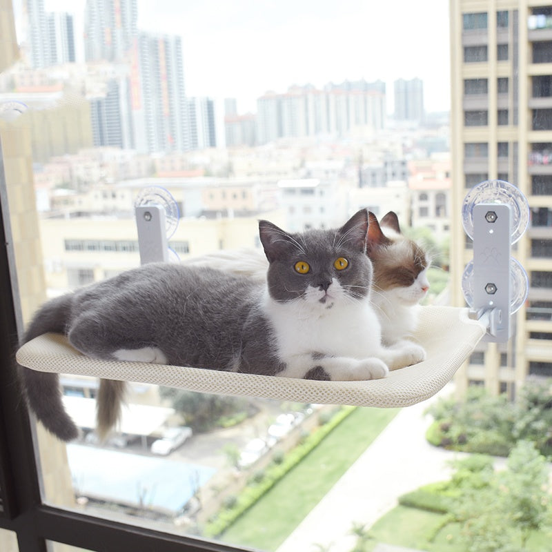 PurrView