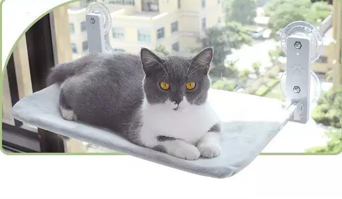PurrView