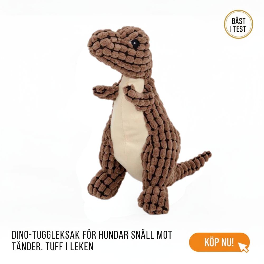 Dinosaurie Tuggleksak För Hund