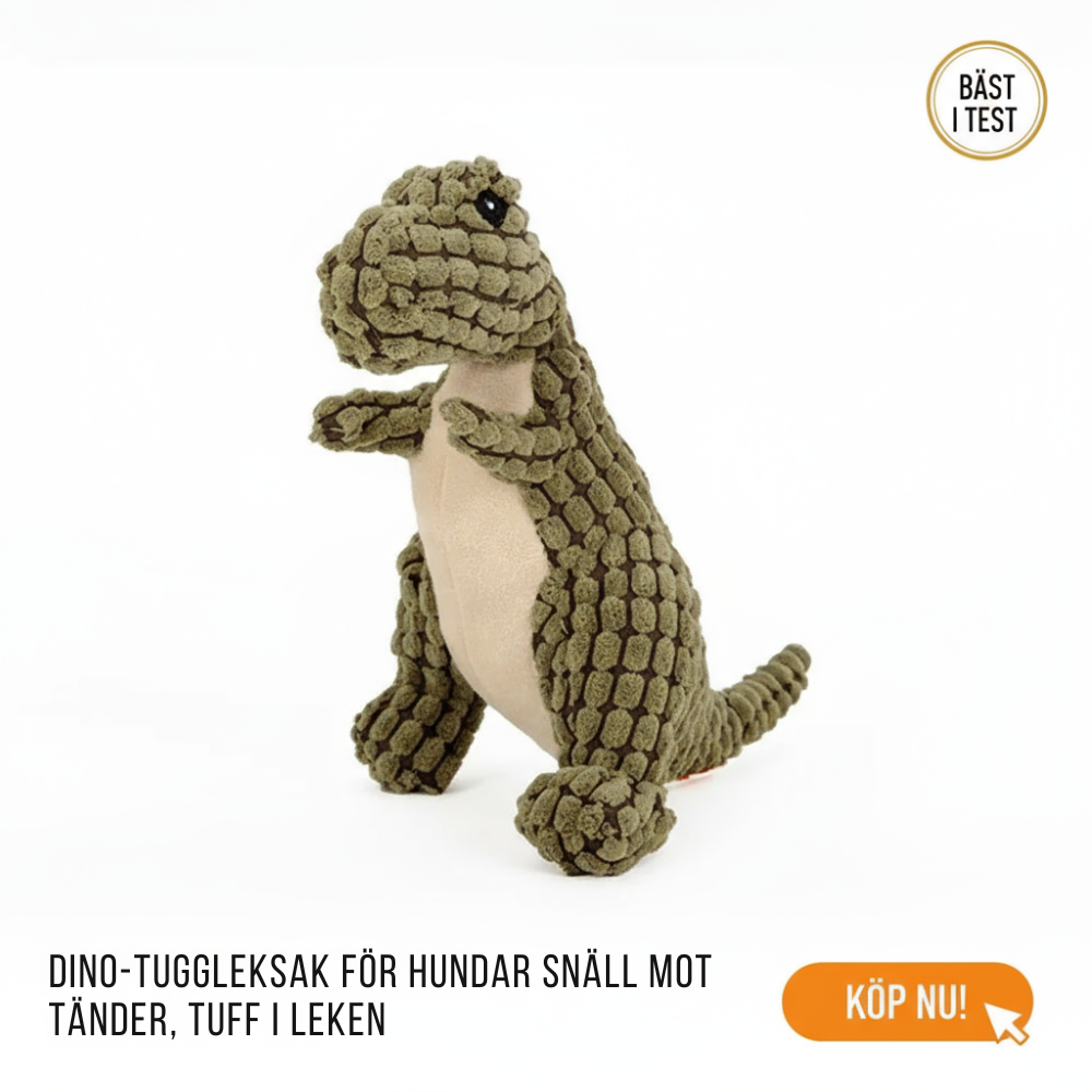 Dinosaurie Tuggleksak För Hund