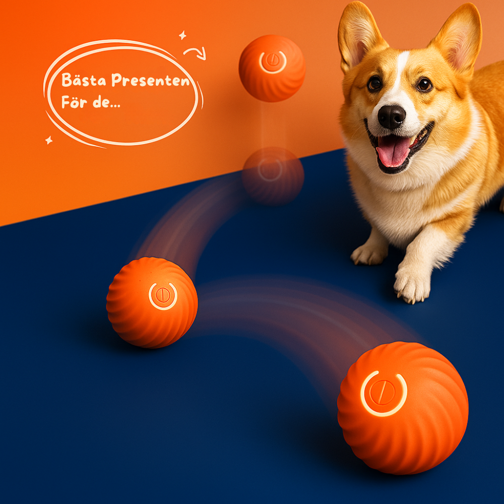 Gummiboll för husdjur