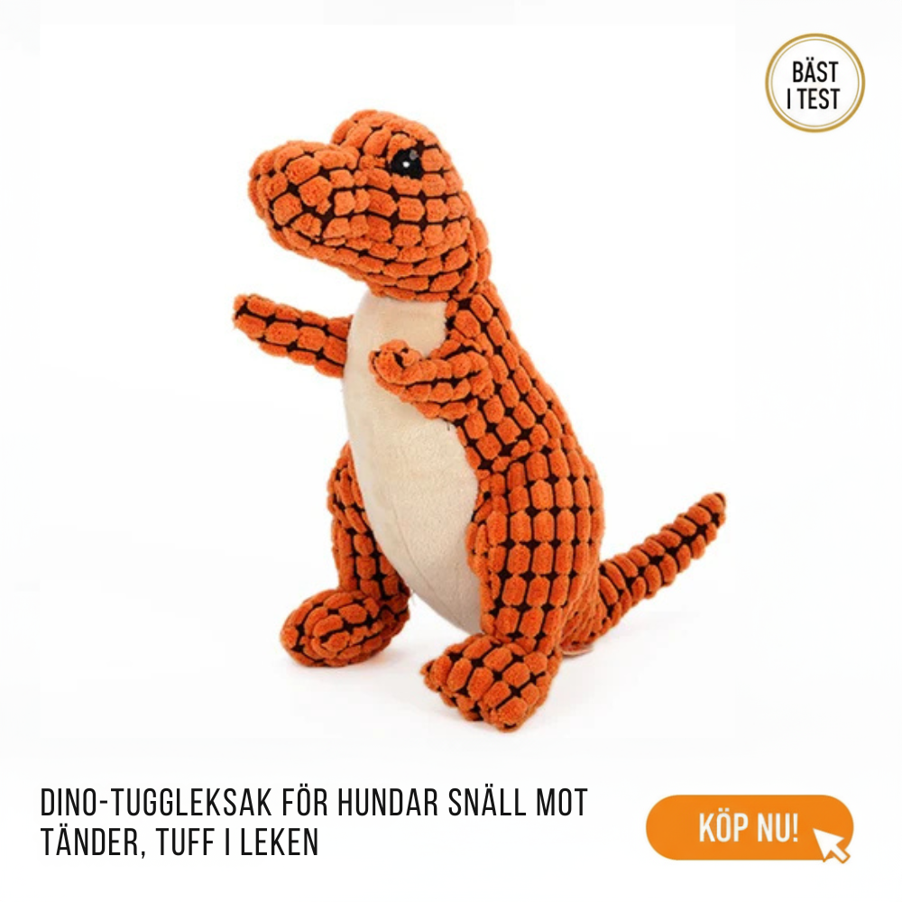 Dinosaurie Tuggleksak För Hund