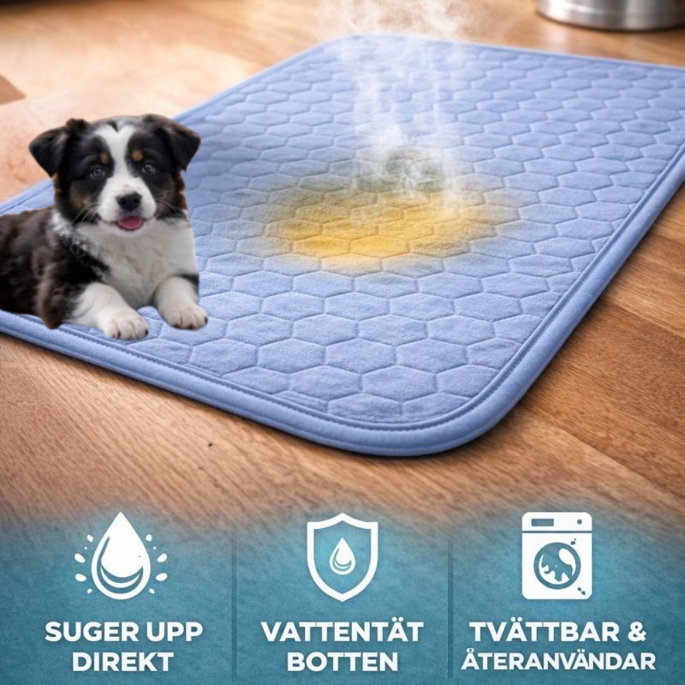 PawGuard™ Urinmatta