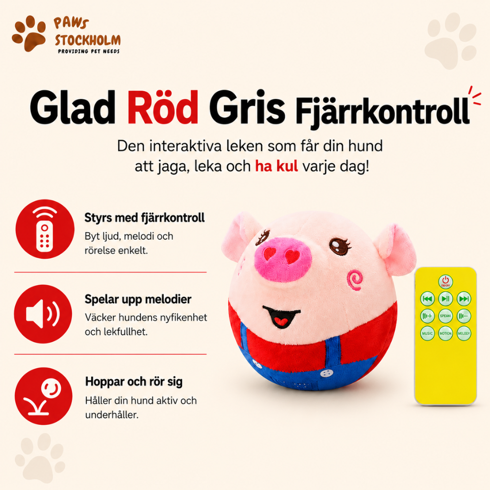 BounceBuddy™ – Leksaken Som Studsar, Spelar Upp Melodier & Som Aldrig Slutar Förändras