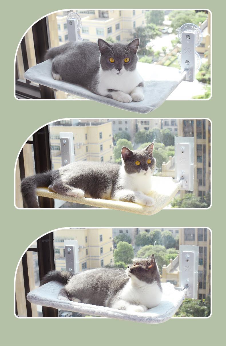 PurrView