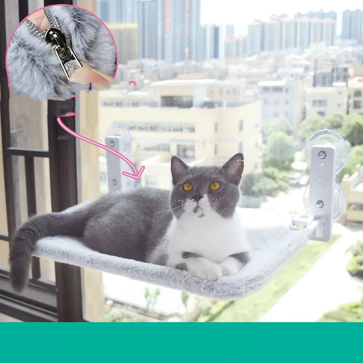 PurrView