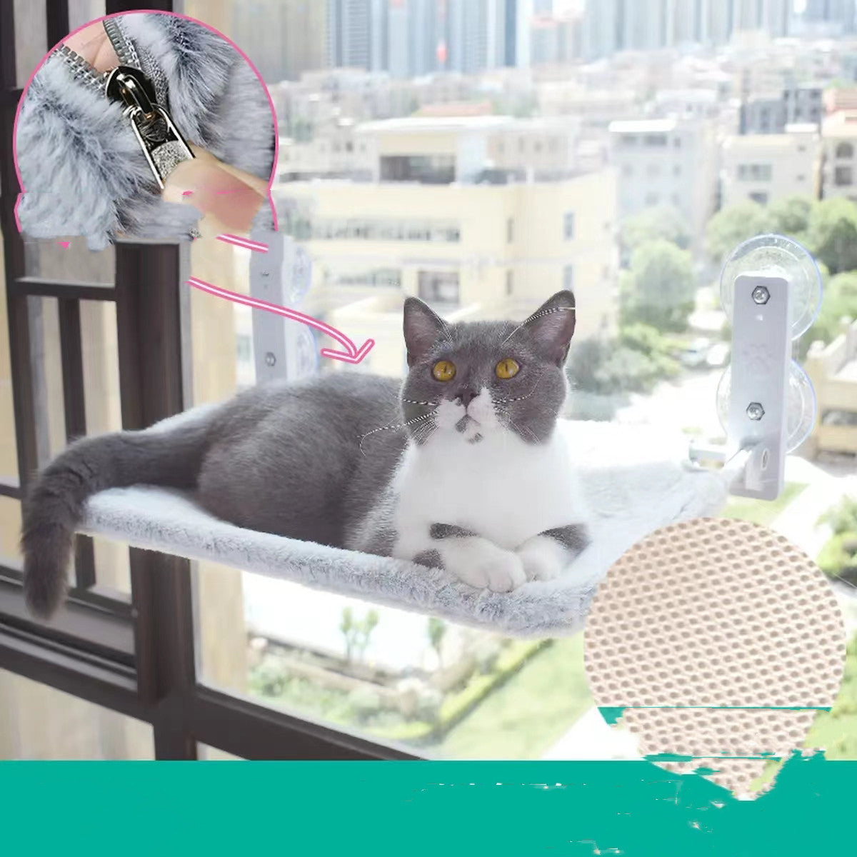 PurrView