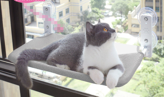PurrView