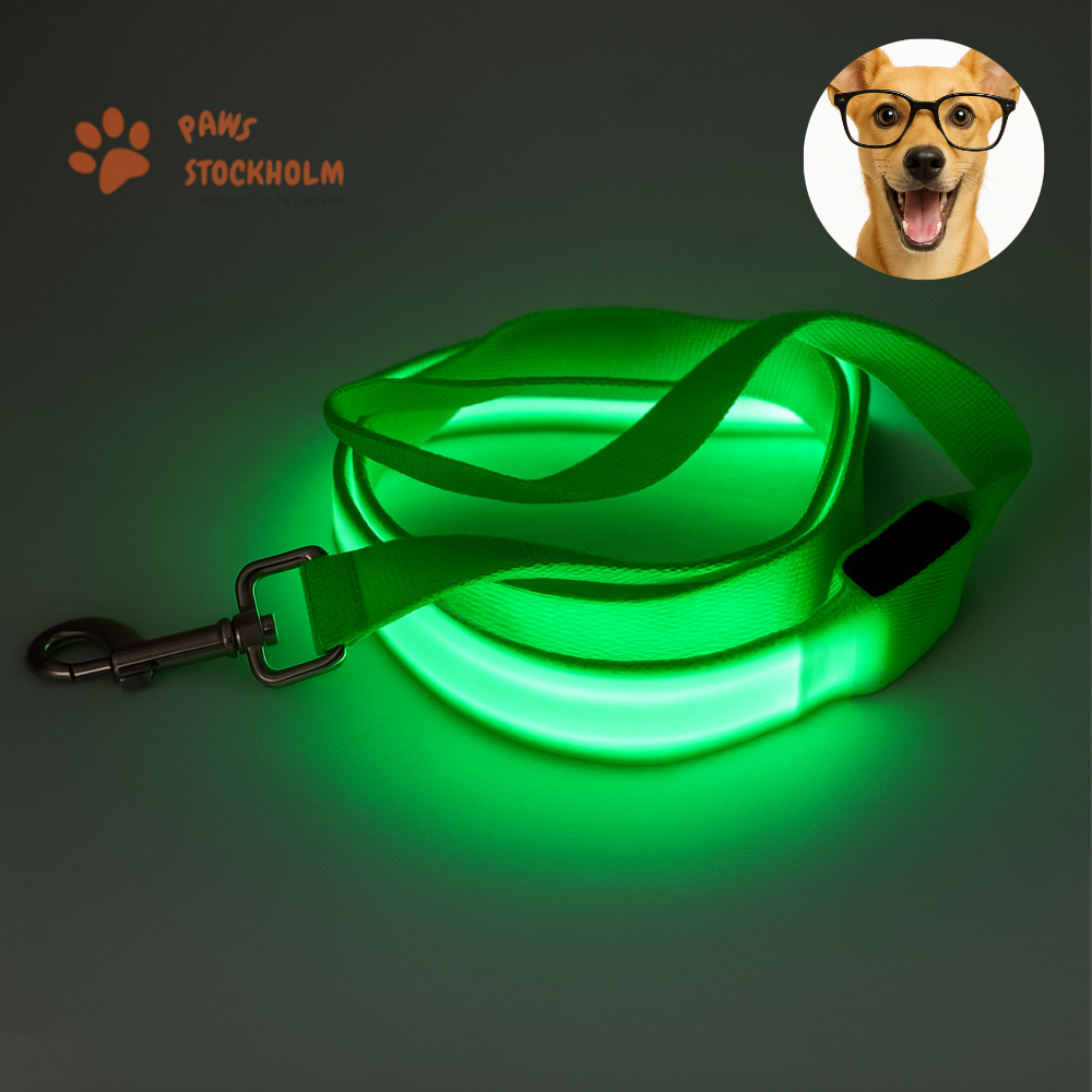 LED Leash